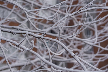 Similar image 21690848