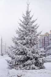 Similar image 21690849