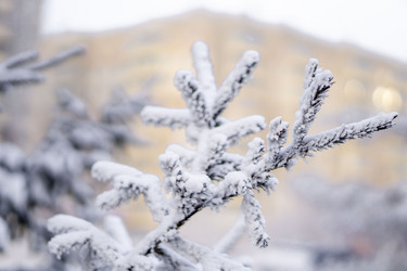 Similar image 21690850