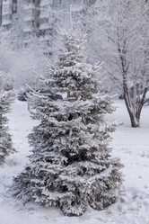 Similar image 21690851