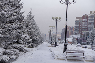 Similar image 21690852