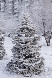 Similar image 21690853