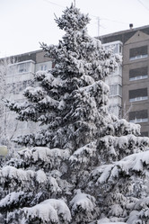 Similar image 21690854