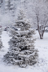 Similar image 21690857