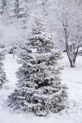 Similar image 21690859