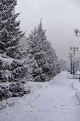 Similar image 21690860