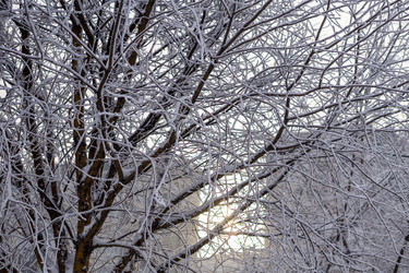 Similar image 21690861