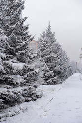 Similar image 21690862