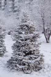 Similar image 21690864