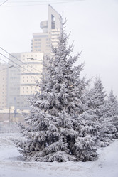 Similar image 21690865