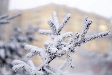 Similar image 21690866