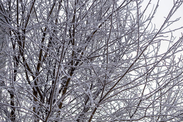 Similar image 21690867