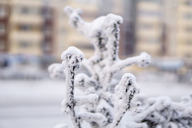 Similar image 21690868