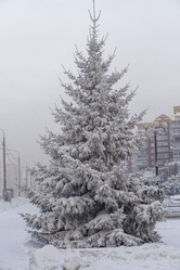 Similar image 21690869