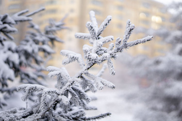 Similar image 21690870