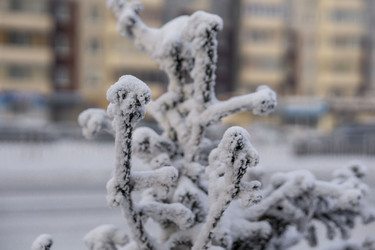 Similar image 21690871