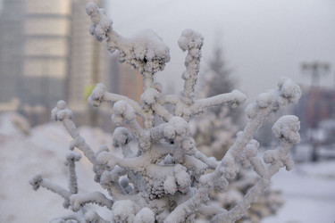 Similar image 21690872