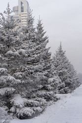 Similar image 21690873