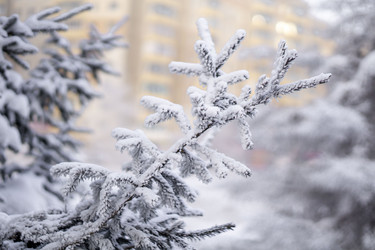 Similar image 21690874