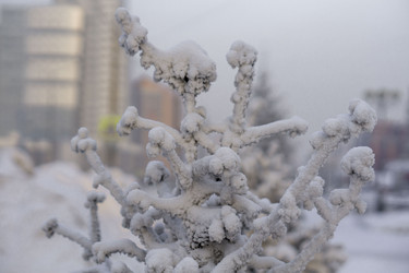 Similar image 21690875