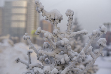 Similar image 21690876