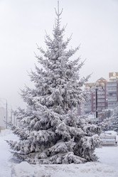 Similar image 21691017