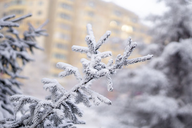 Similar image 21691018