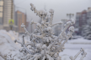 Similar image 21691019