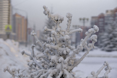 Similar image 21691020