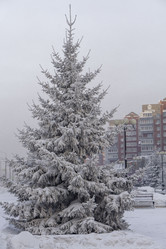 Similar image 21691021