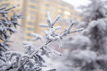 Similar image 21691022