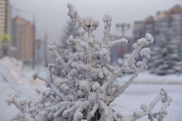 Similar image 21691023