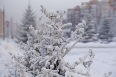 Similar image 21691024