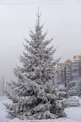 Similar image 21691025