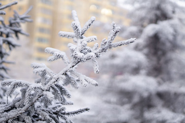 Similar image 21691026