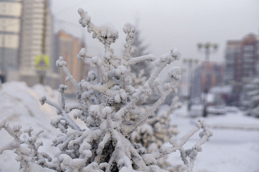 Similar image 21691027