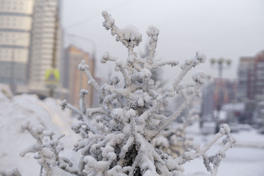 Similar image 21691028