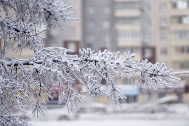 Similar image 21691029