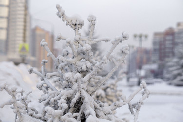 Similar image 21691031