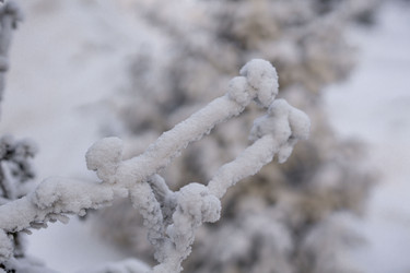 Similar image 21691032