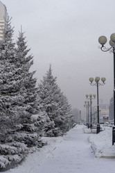 Similar image 21691033