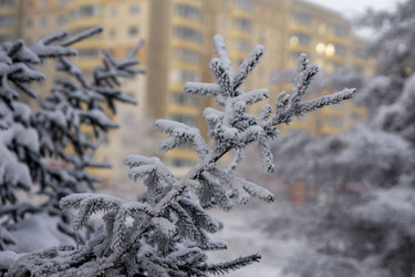 Similar image 21691034