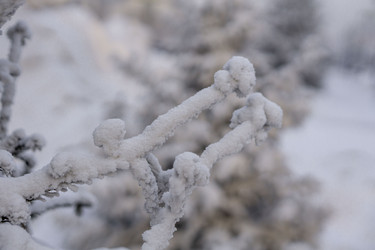 Similar image 21691035