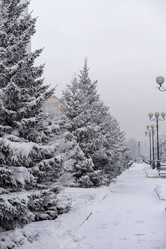 Similar image 21691036