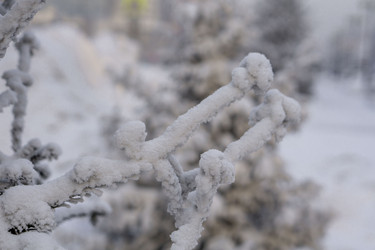 Similar image 21691037