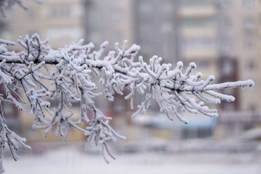 Similar image 21691038