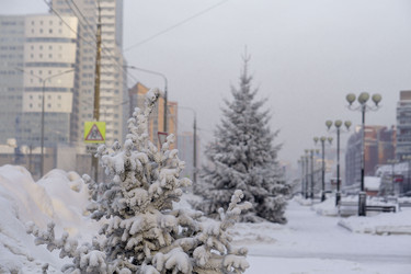 Similar image 21691039