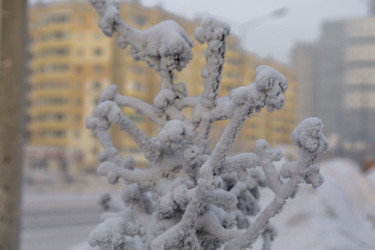 Similar image 21691040