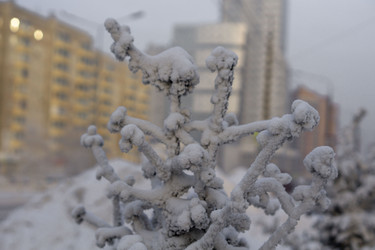 Similar image 21691041