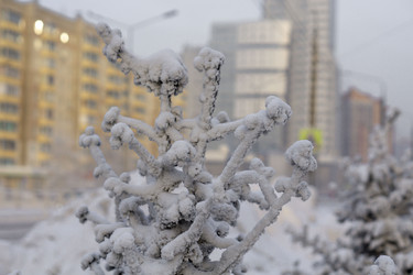 Similar image 21691043